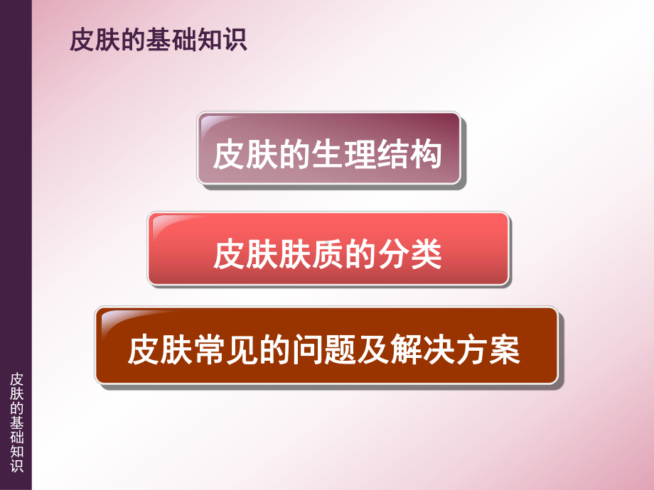 医学皮肤的基础知识ppt培训课件.ppt_第2页