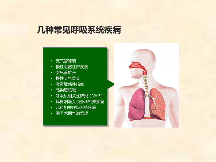 雾化吸入在呼吸系统疾病中的应用ppt课件.pptx_第3页