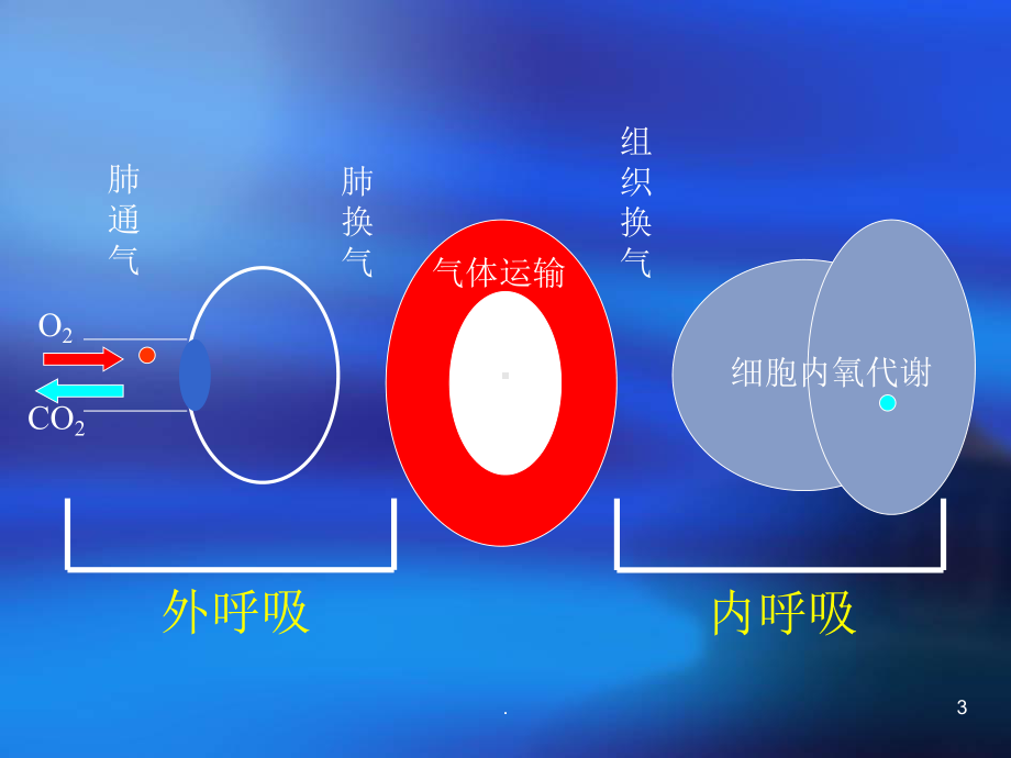 呼吸困难课件PPT课件.ppt_第3页