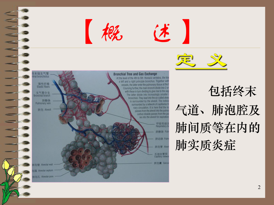 医院呼吸内科课件.ppt_第2页