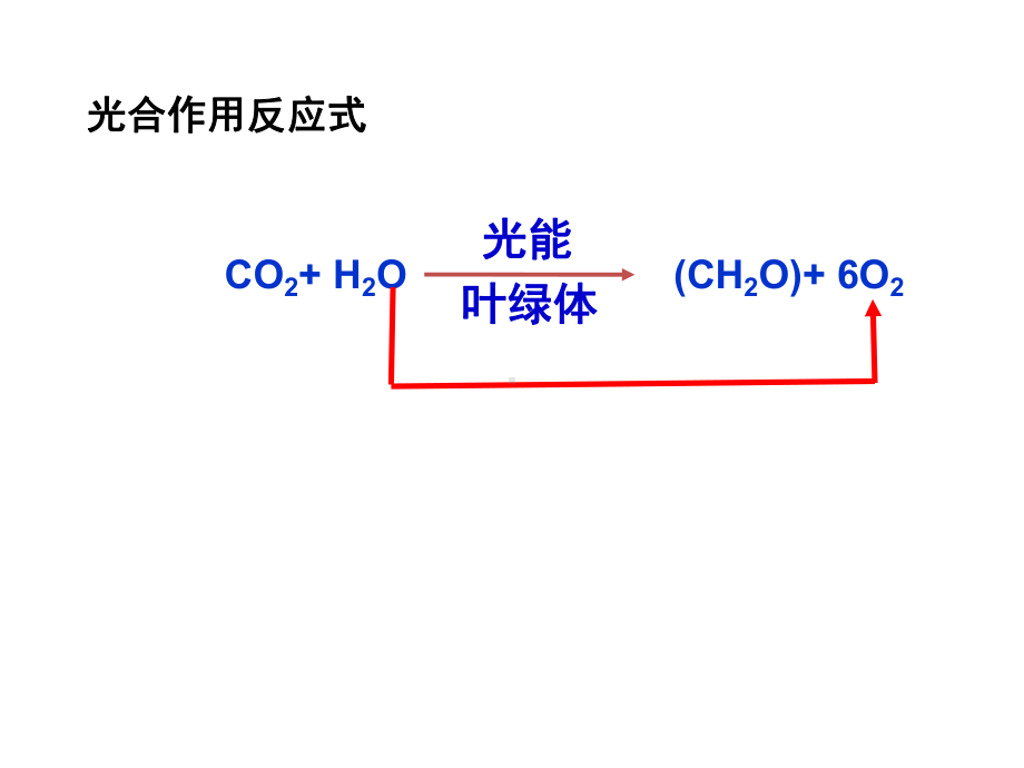 专题一-光合作用和呼吸作用-PPT课件.ppt_第3页