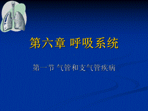 第6章-呼吸系统课件.ppt