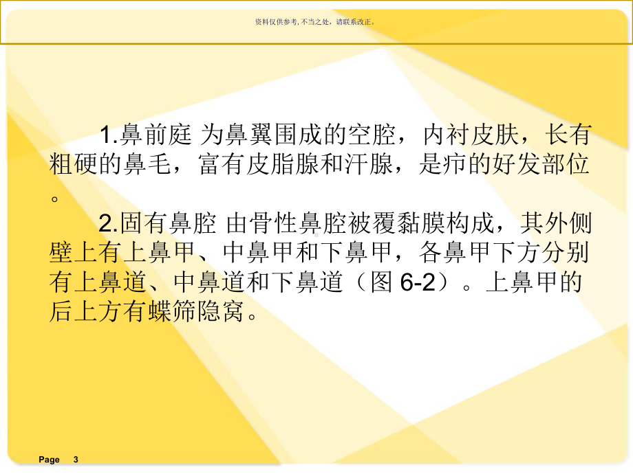 解剖学基础呼吸系统课件.ppt_第3页