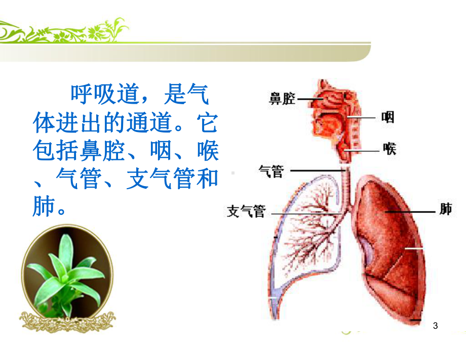 校园呼吸道传染病预防ppt课件.ppt_第3页