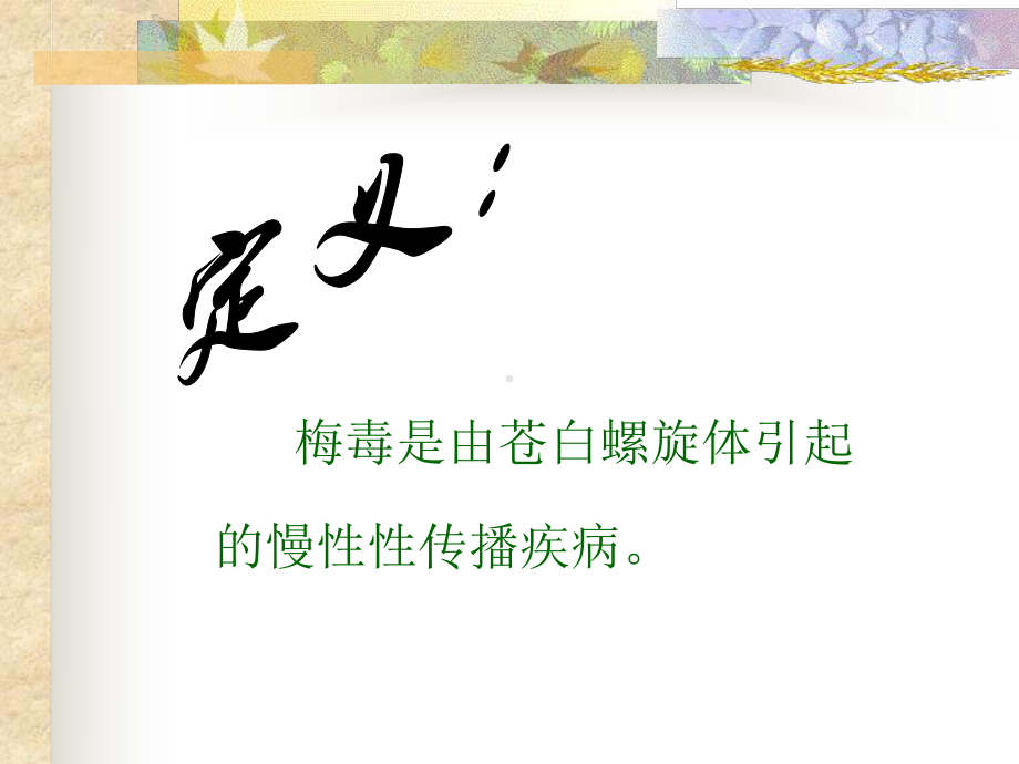 掌握梅毒诊断课件.ppt_第2页