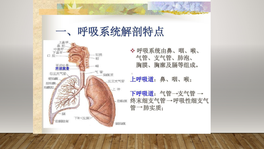 急性呼吸衰竭-ppt课件-共25页.pptx_第3页