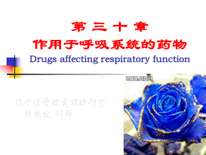 第三十章作用于呼吸系统的药物Drugsaffectingrespiratory课件.ppt