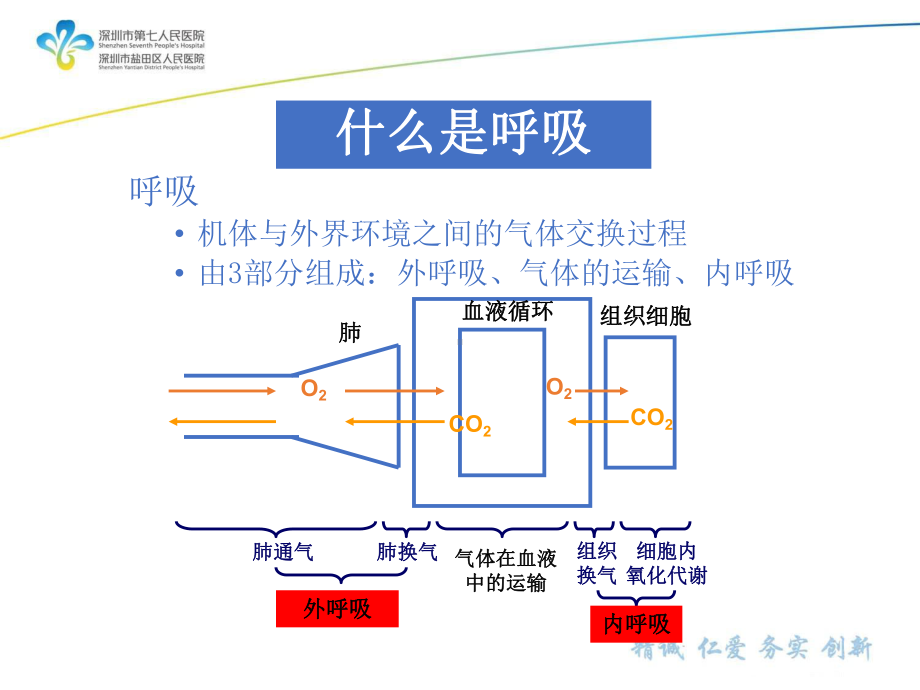 呼吸机相关基础及Savina300参数设置(10.11)课件.pptx_第3页