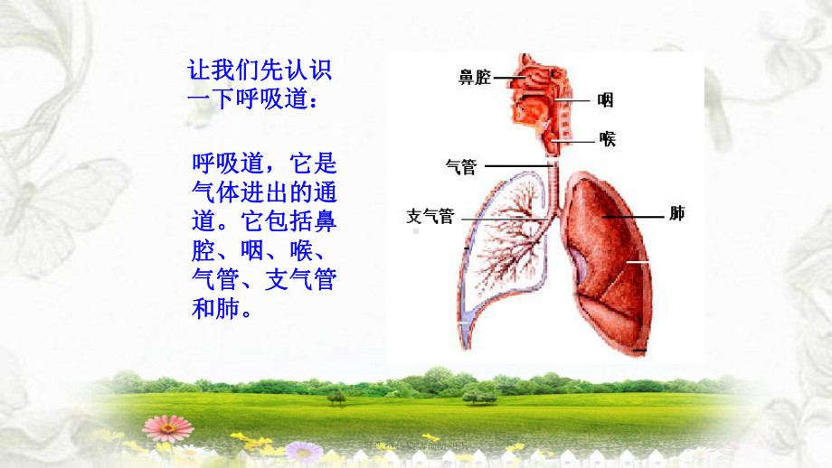 呼吸道传染病预防知识ppt课件1.ppt_第3页