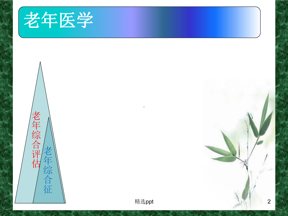 老年综合评估和老年综合征课件.ppt_第2页