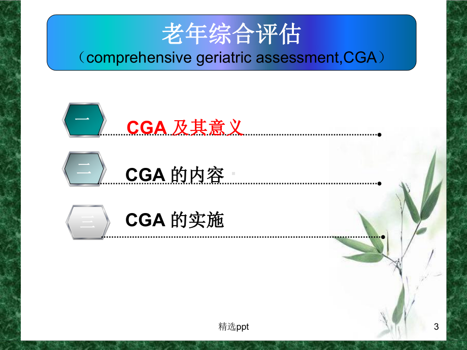 老年综合评估和老年综合征课件.ppt_第3页