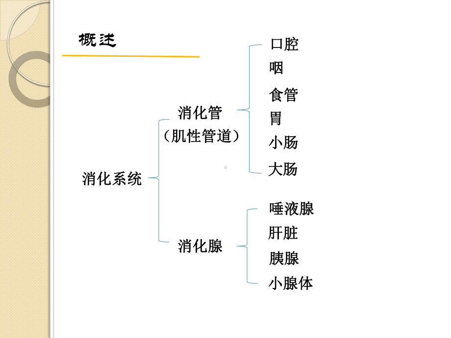 老年人消化系统疾病患者的护理1课件.ppt_第2页