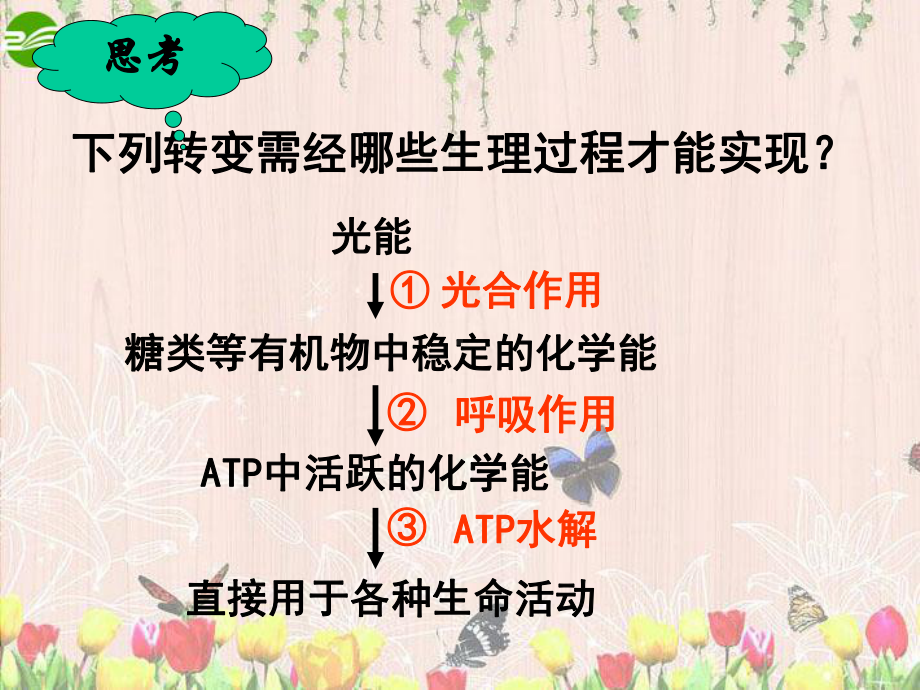 高中生物-ATP的主要来源─细胞呼吸课件-新人教.ppt_第2页