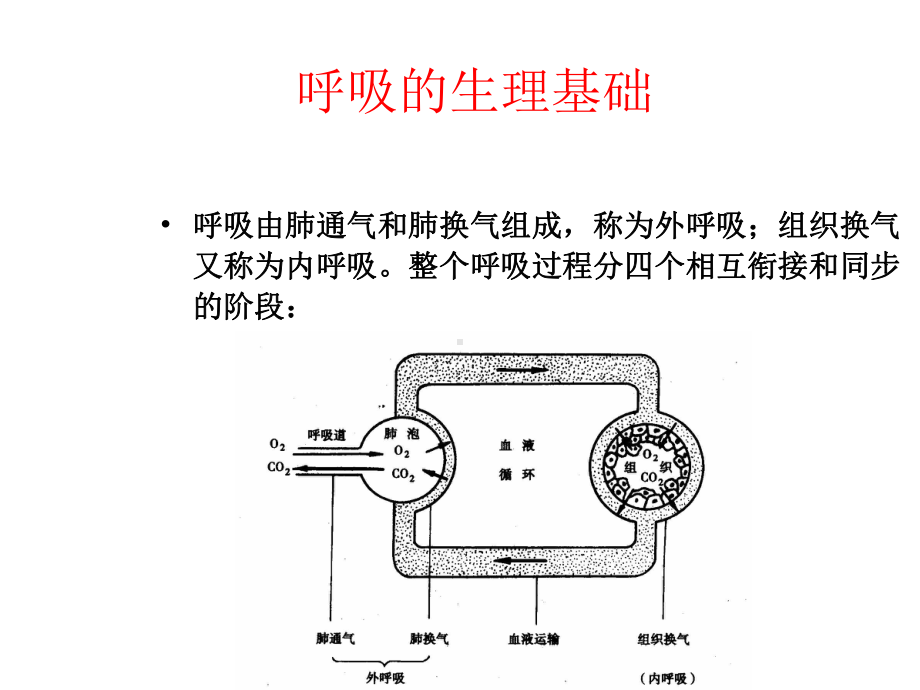 呼吸功能训练-ppt课件.ppt_第2页