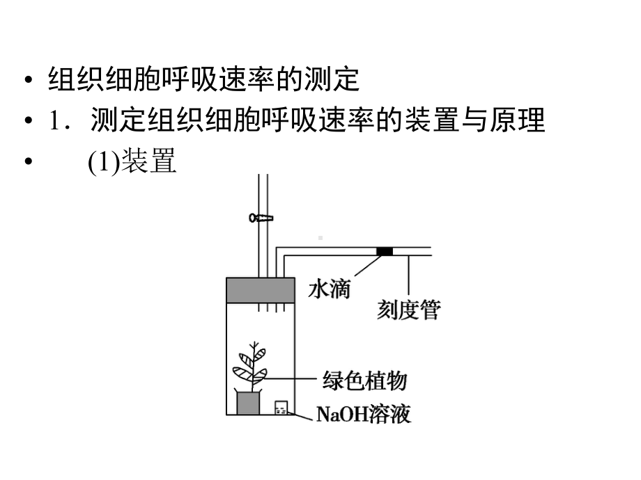 一轮复习细胞呼吸课件.pptx_第1页