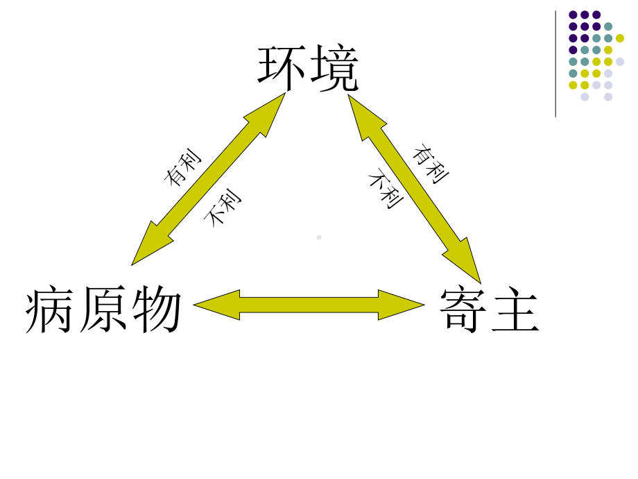 侵染性病害的发生和流行.ppt课件.ppt_第2页