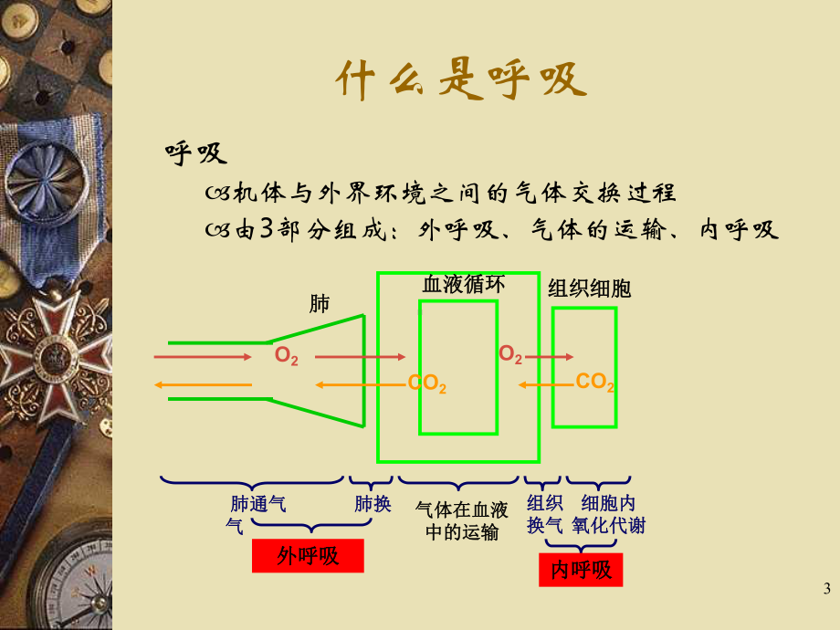 Drager呼吸机的使用ppt课件.ppt_第3页