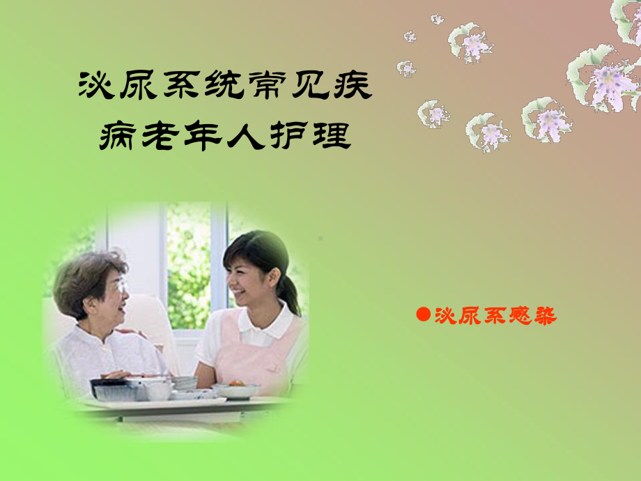 泌尿系统常见疾病老年人护理课件.ppt_第1页