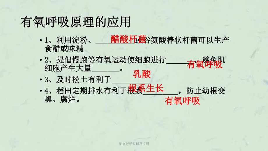 细胞呼吸原理及应用课件.ppt_第3页