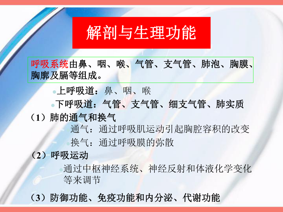 呼吸系统概述课件.ppt_第3页