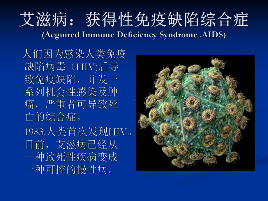 艾滋病的简述要点课件.ppt_第3页