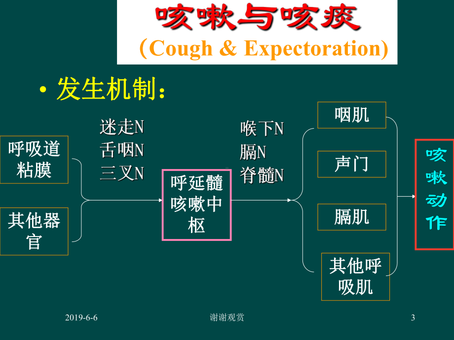 呼吸系统常见症状分析模板课件.pptx_第3页