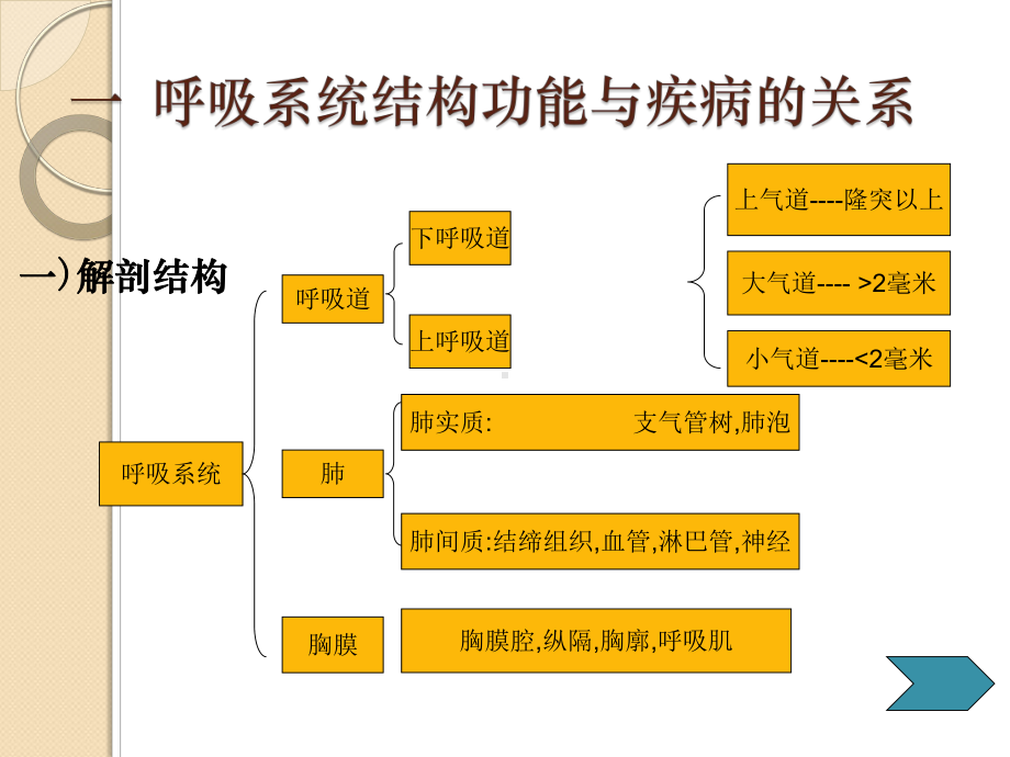 呼吸系统疾病总论PPT课件1.ppt_第3页