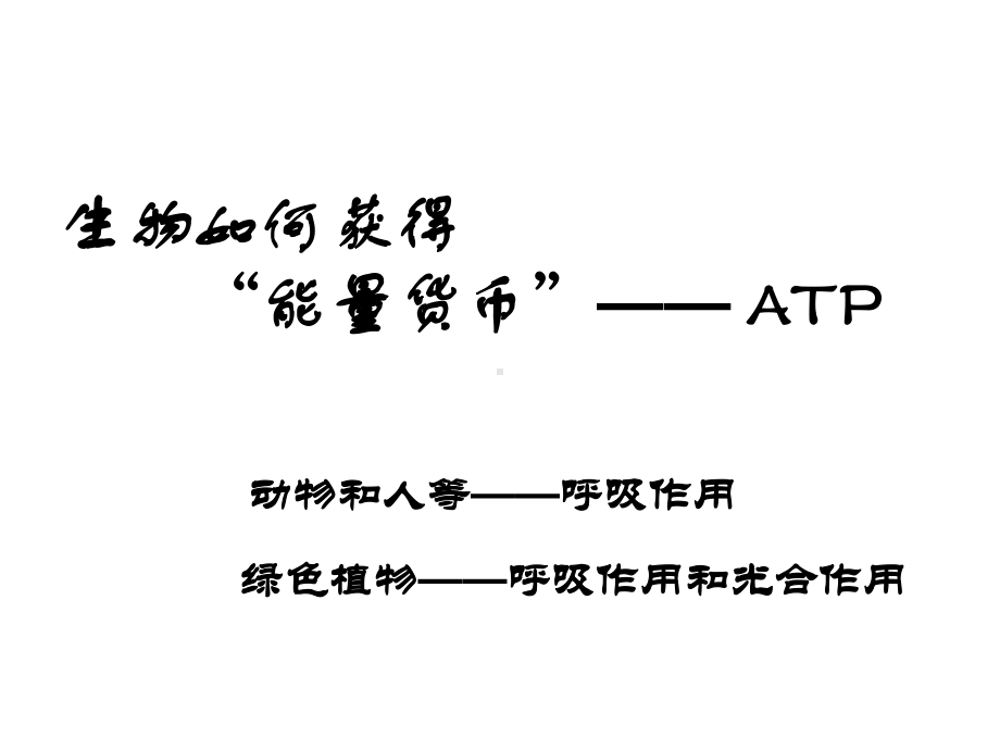 一轮复习-光合作用与呼吸作用课件.ppt_第3页