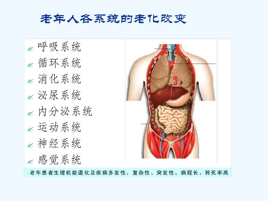 老年病人的护理管理课件.ppt_第3页