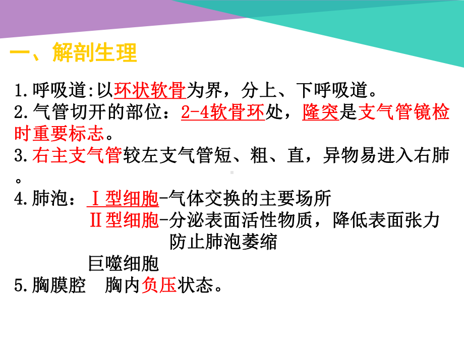 护考呼吸系统.课件.ppt_第2页