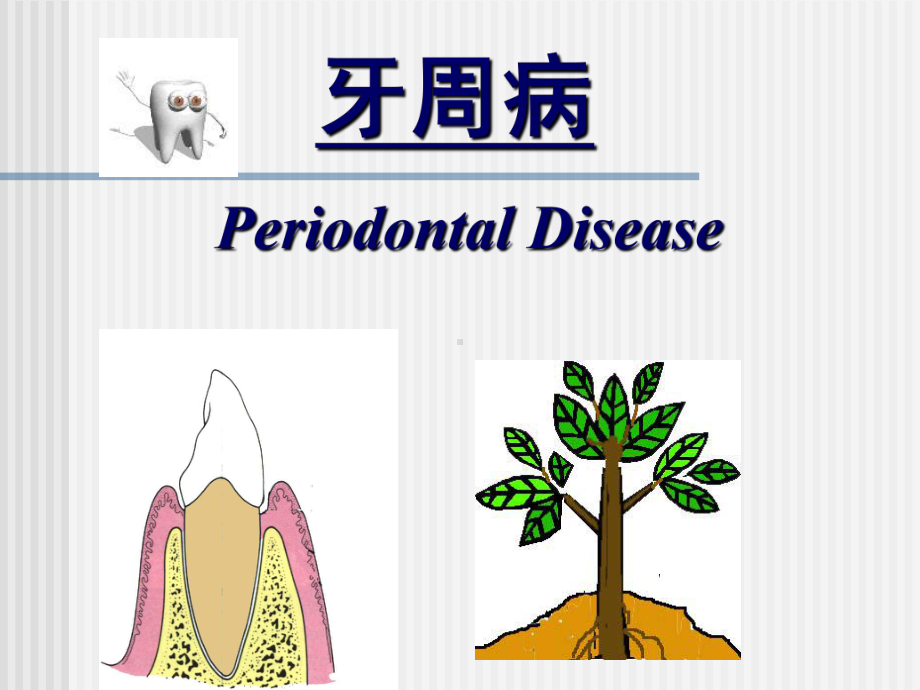 口腔牙周粘膜病影像系课件.ppt_第3页