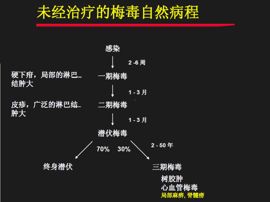 梅毒诊疗和实验检查课件.pptx_第3页