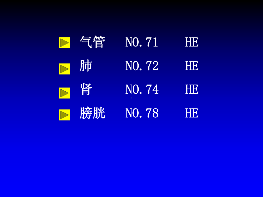 呼吸泌尿生殖眼耳课件.ppt_第1页