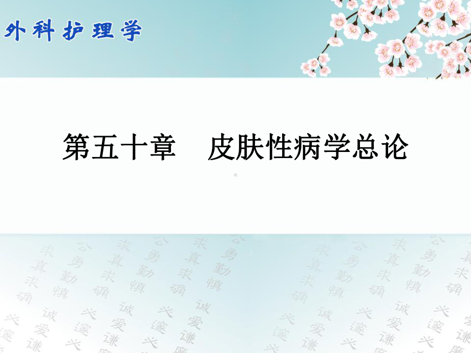 外科护理学配套光盘-皮肤性病学总论课件.ppt_第1页