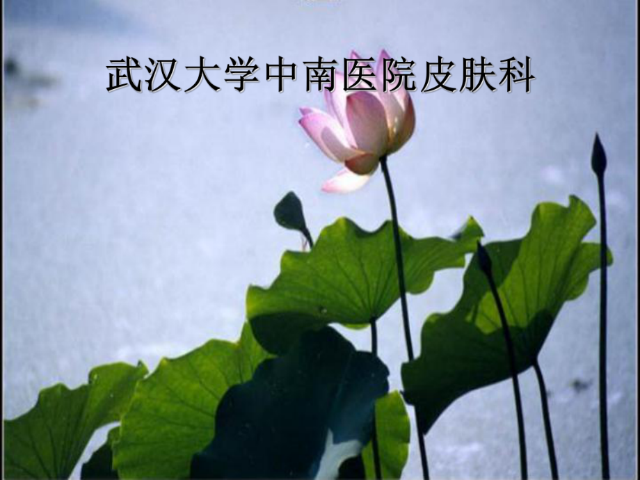 念珠菌病课件.ppt_第1页