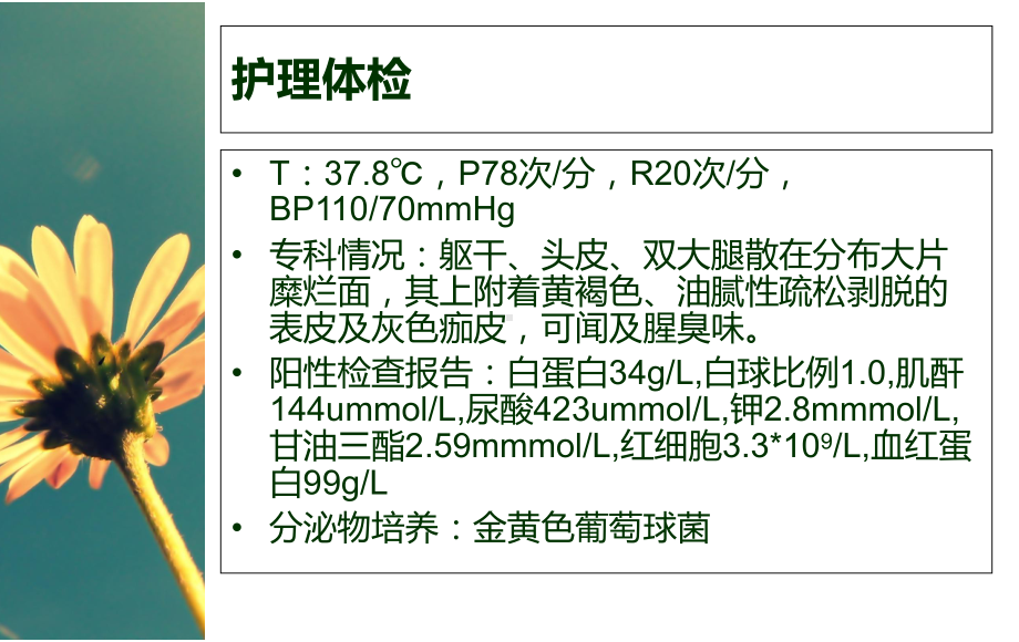 天疱疮的医疗护理讲义课件.ppt_第3页