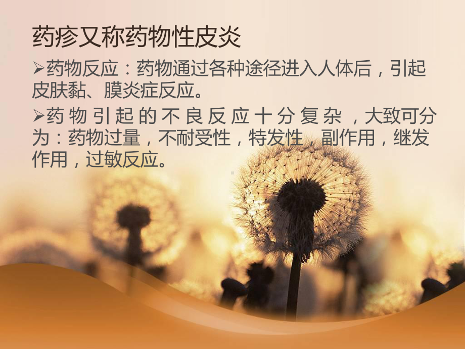 药疹ppt课件.ppt_第2页