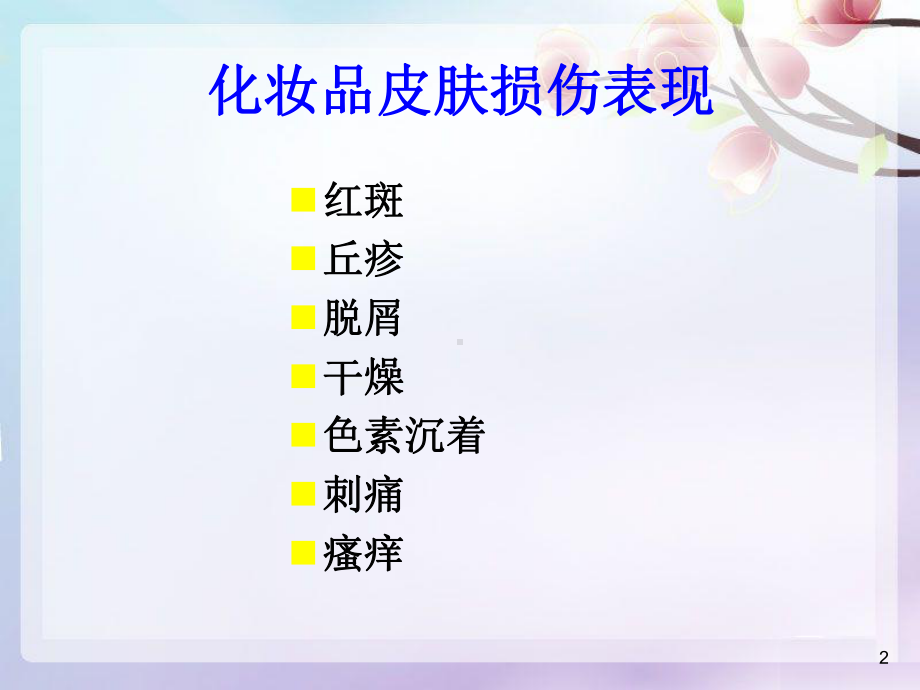 化妆品皮肤损伤表现教程课件.ppt_第2页