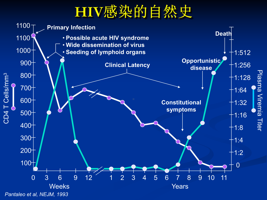 艾滋病流行形势与防治策略(PPT-137)课件.ppt_第3页