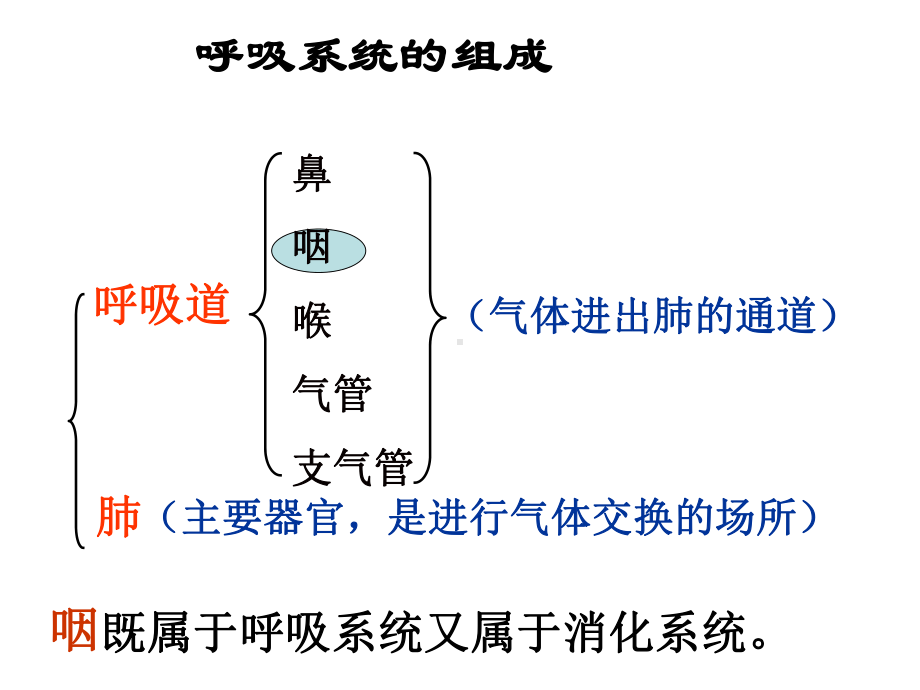 人体的呼吸复习课件.ppt_第3页