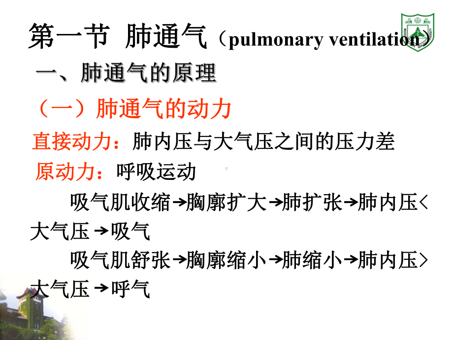 生理学课件-呼吸.ppt_第3页