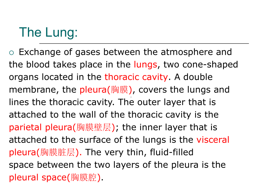 医学英语呼吸系统课件.ppt_第3页