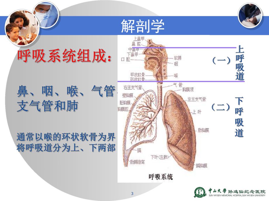 呼吸系统疾病的药物治疗PPT课件.ppt_第3页