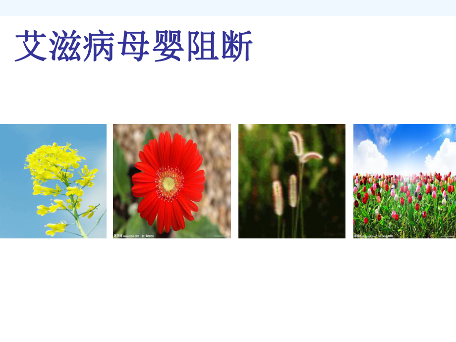 艾滋病母婴阻断课件.ppt_第1页