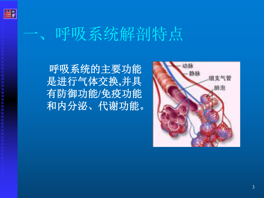 呼吸系统疾病患者的的重症护理PPT课件.ppt_第3页