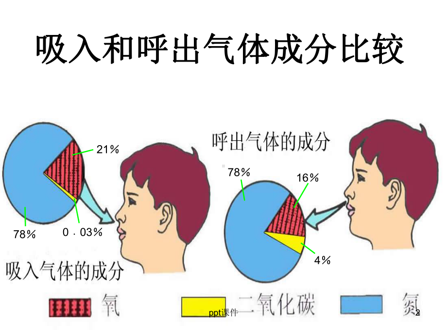 苏教版五年级科学上册《肺和呼吸》-ppt课件.ppt_第2页