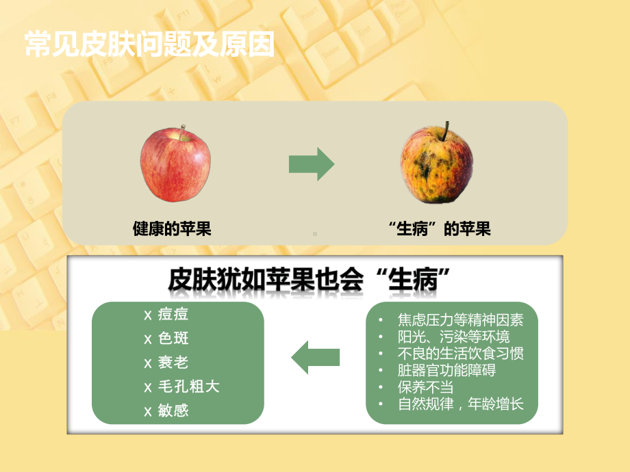 问题性皮肤护理PPT课件.ppt_第3页