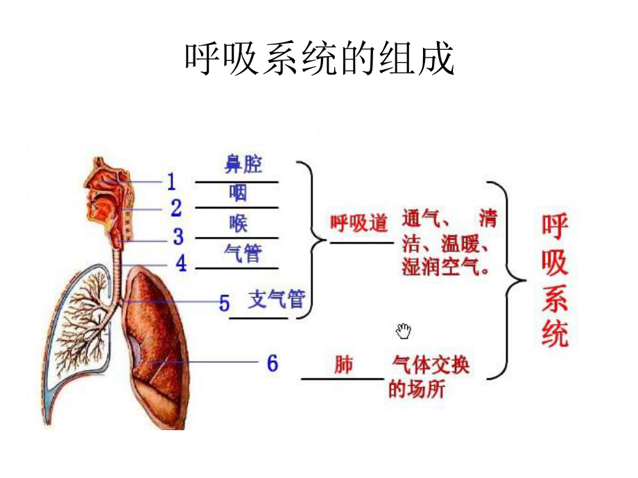 内科呼吸系统疾病常见症状课件.ppt_第3页