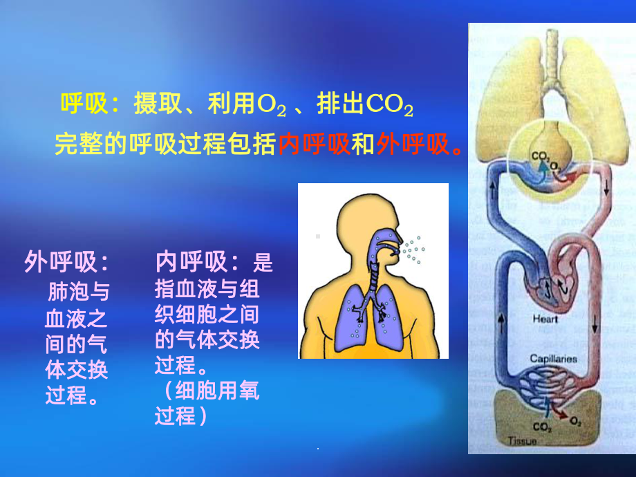 呼吸窘迫综合征的护理课件.ppt_第2页