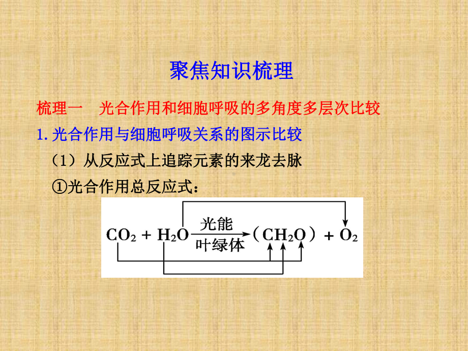 呼吸作用和光合作用教学课件.ppt_第3页